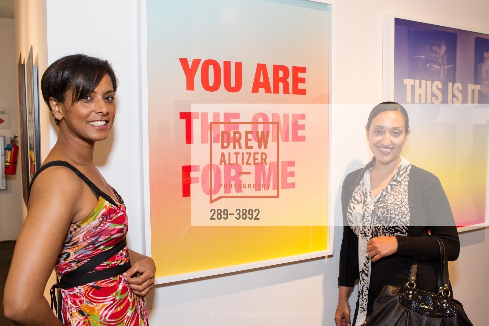 ART MARKET San Francisco Benefit Preview Gala, US, May 15th, 2014, Photo #289-3892 Photo #289-3892