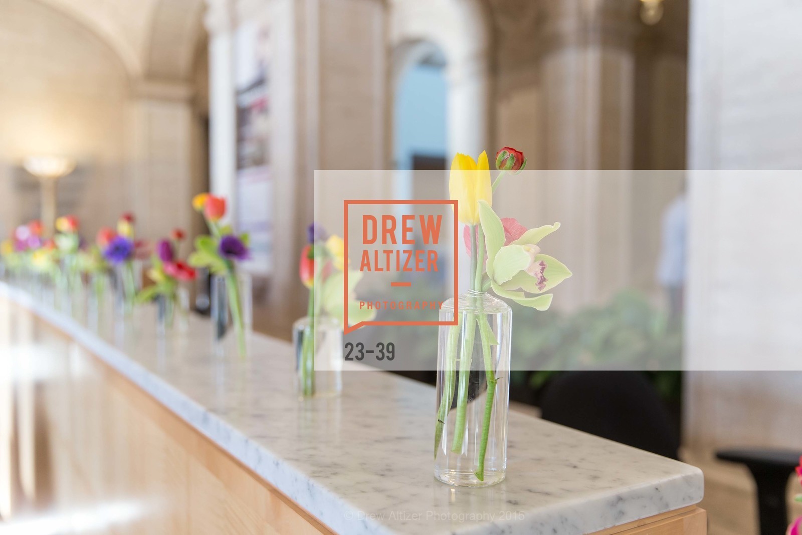 Extras, ASIAN ART MUSEUM Presents Once Upon a Time in Tokyo, April 17th, 2015, Photo,Drew Altizer, Drew Altizer Photography, full-service agency, private events, San Francisco photographer, photographer california