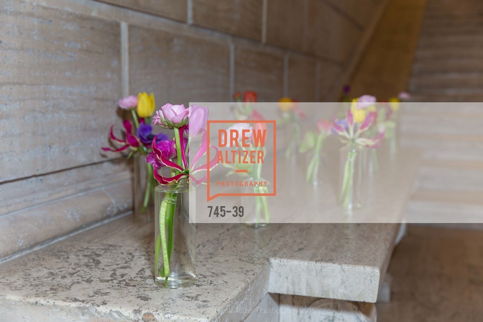 Extras, ASIAN ART MUSEUM Presents Once Upon a Time in Tokyo, April 17th, 2015, Photo,Drew Altizer, Drew Altizer Photography, full-service agency, private events, San Francisco photographer, photographer california