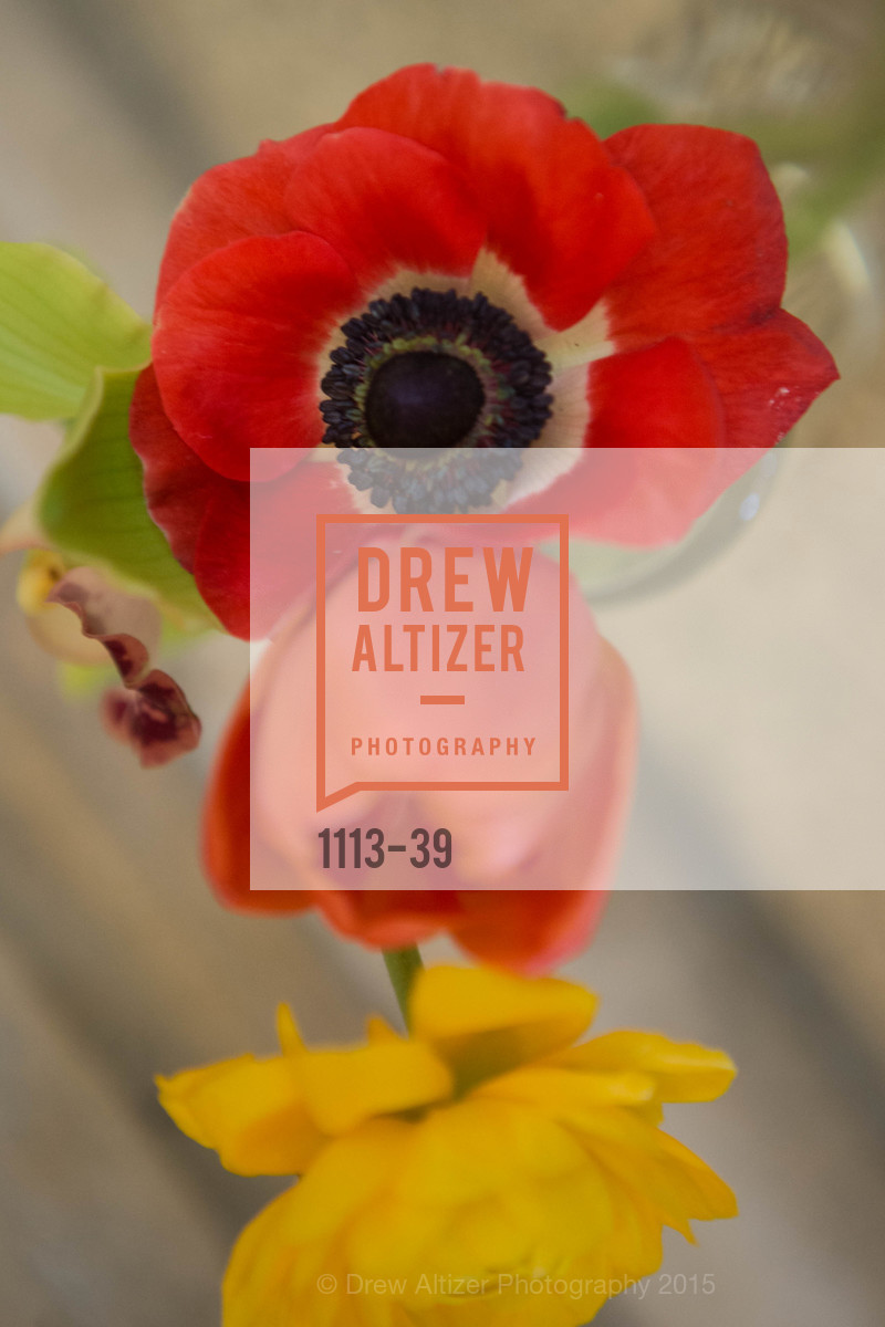 Extras, ASIAN ART MUSEUM Presents Once Upon a Time in Tokyo, April 17th, 2015, Photo,Drew Altizer, Drew Altizer Photography, full-service agency, private events, San Francisco photographer, photographer california