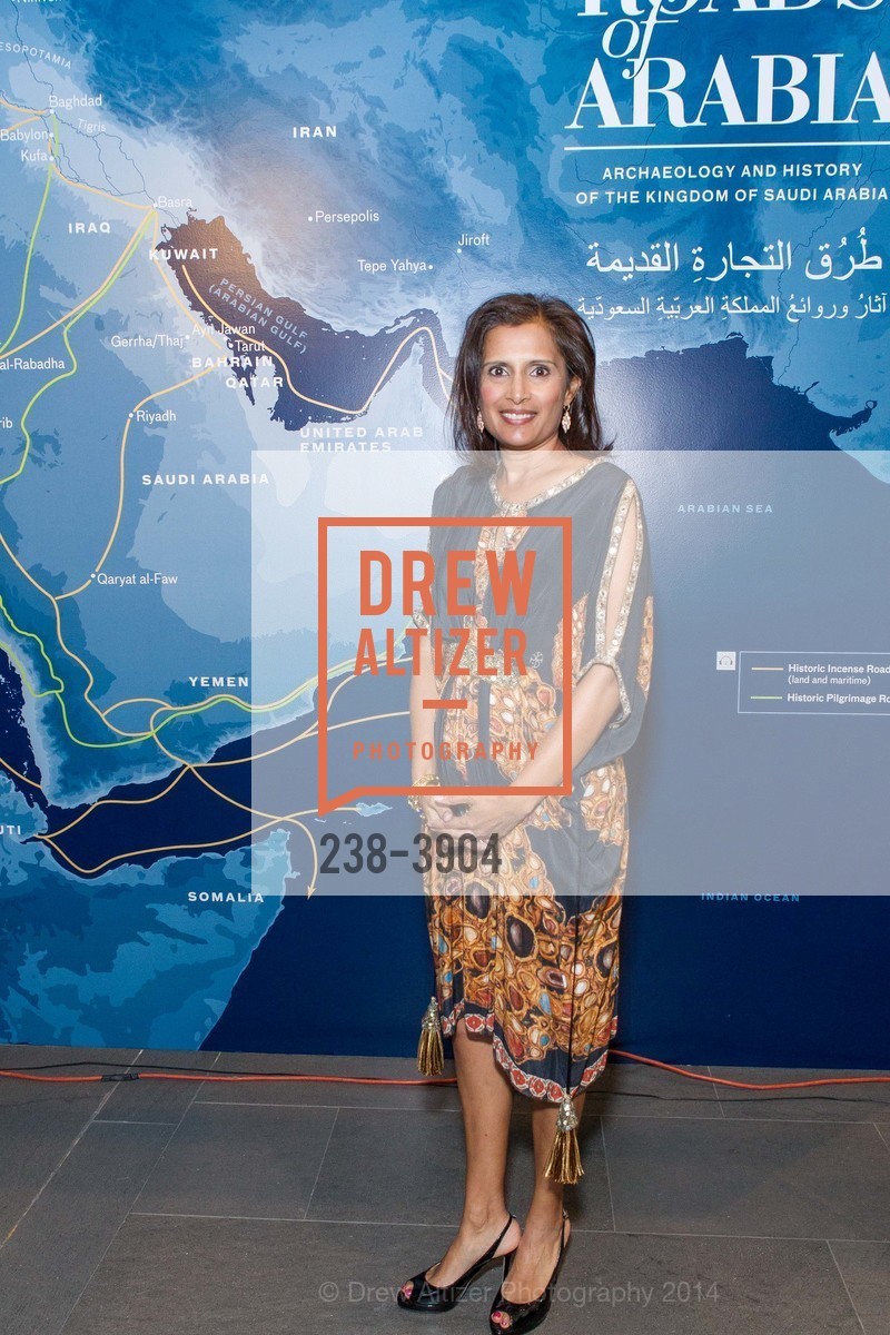 Mona Shah, ASIAN ART MUSEUM'S Dinner to Celebrate Road of Arabia Exhibit Opening, US, October 28th, 2014, Photo #238-3904 Mona Shah, Photo #238-3904