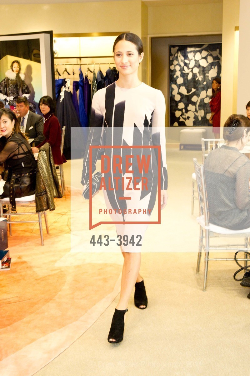 Fashion Show, NEIMAN MARCUS & VANITY FAIR Art of Fashion, US, September 17th, 2014, Photo #443-3942 Fashion Show, Photo #443-3942