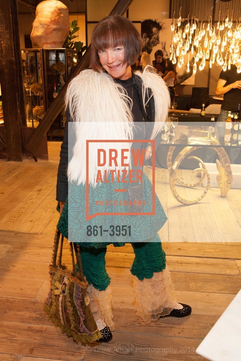 Sheila Ash, LUXE INTERIORS + DESIGN MAGAZINE, San Francisco, Launch Party, US, June 25th, 2014, Photo #861-3951 Sheila Ash, Photo #861-3951