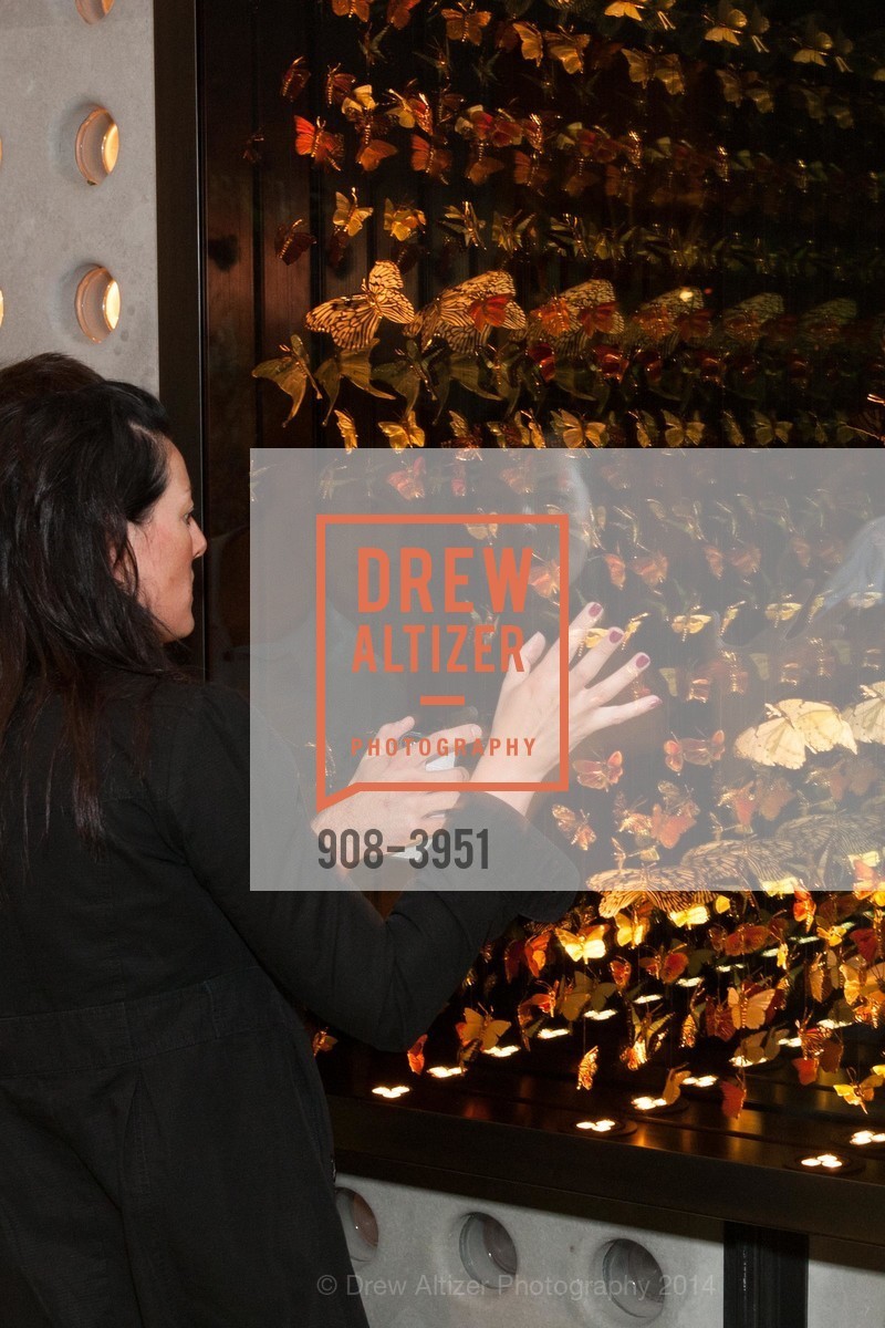 Atmosphere, LUXE INTERIORS + DESIGN MAGAZINE, San Francisco, Launch Party, US, June 25th, 2014, Photo #908-3951 Atmosphere, Photo #908-3951