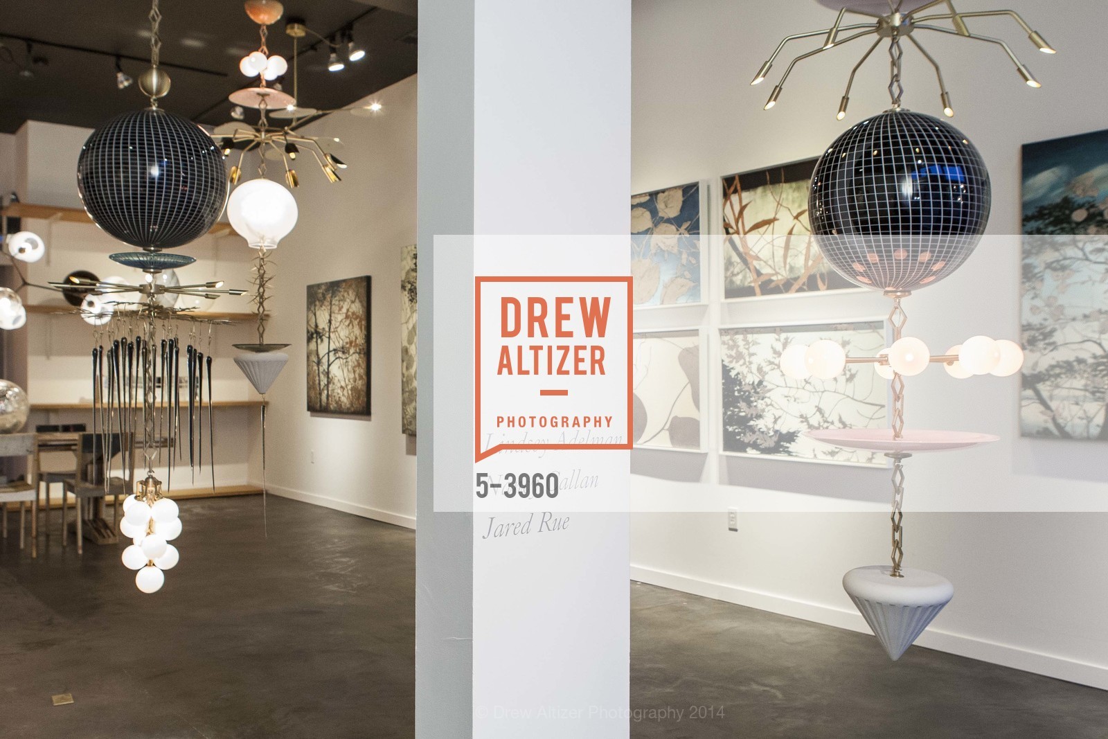 Atmosphere, TOTEM Opening at The Future Perfect, US, February 27th, 2014, Photo #5-3960 Atmosphere, Photo #5-3960