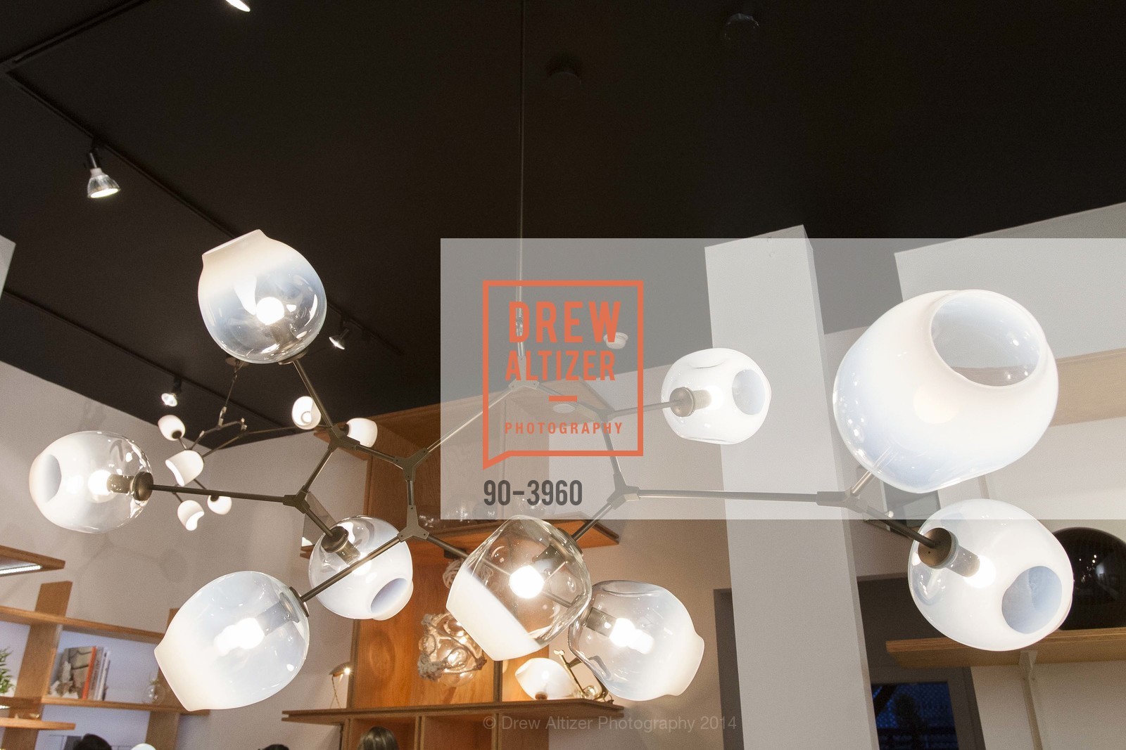 Atmosphere, TOTEM Opening at The Future Perfect, US, February 27th, 2014, Photo #90-3960 Atmosphere, Photo #90-3960