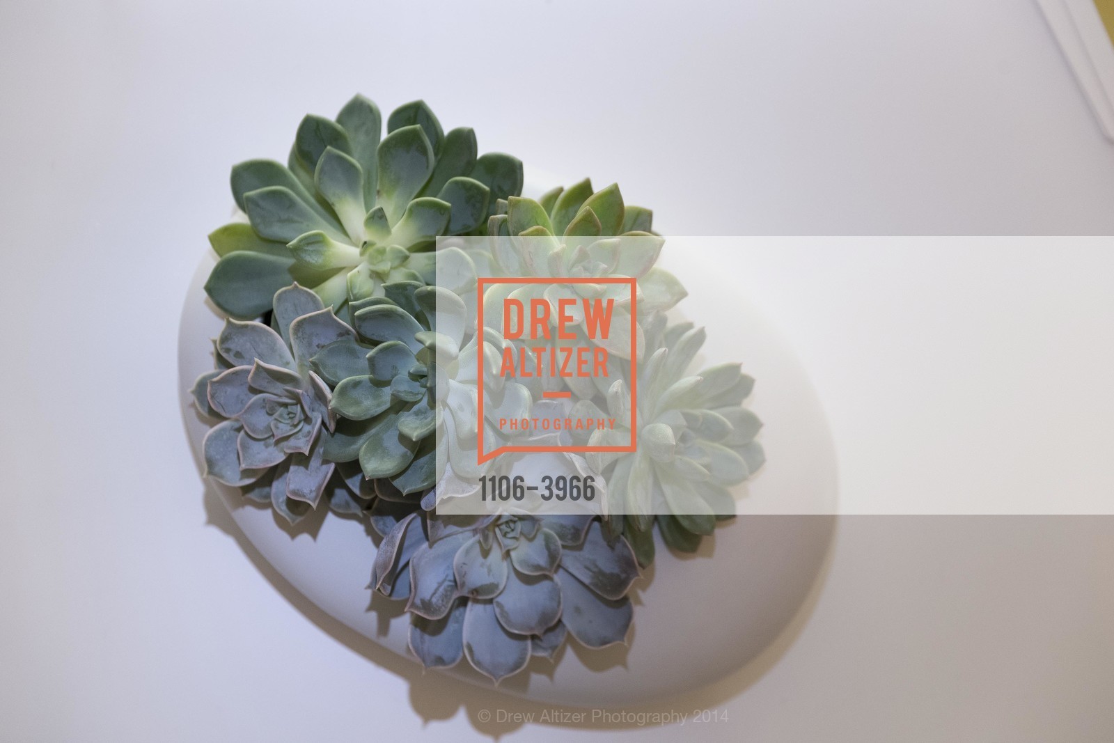 Atmosphere, FOR GOODNESS SAKE Sneak Peek, US, November 19th, 2014, Photo #1106-3966 Atmosphere, Photo #1106-3966