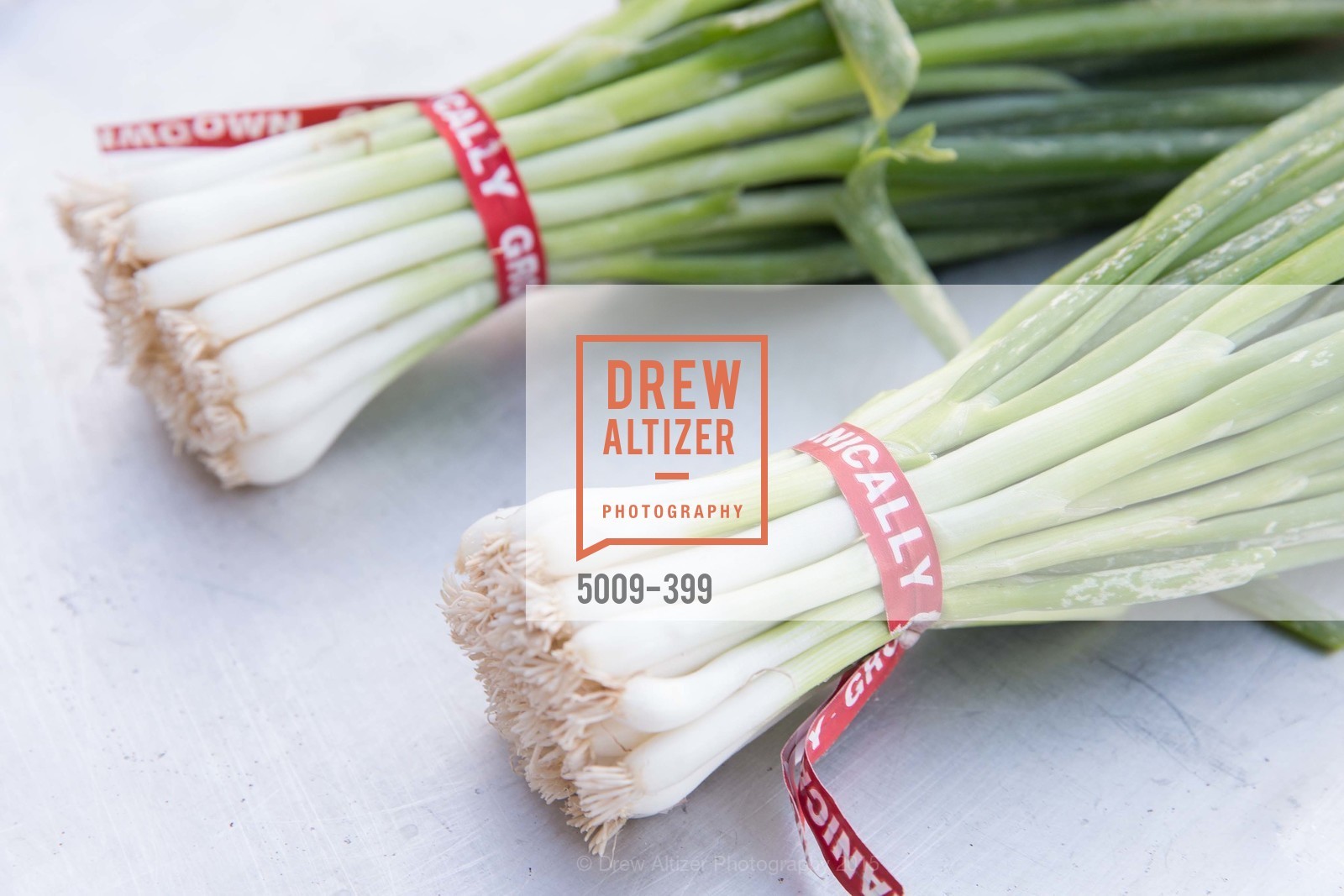 Atmosphere, CUESA's Sunday Supper: A Farm to City Feast, San Francisco Ferry Building, October 18th, 2015,Drew Altizer, Drew Altizer Photography, full-service agency, private events, San Francisco photographer, photographer california