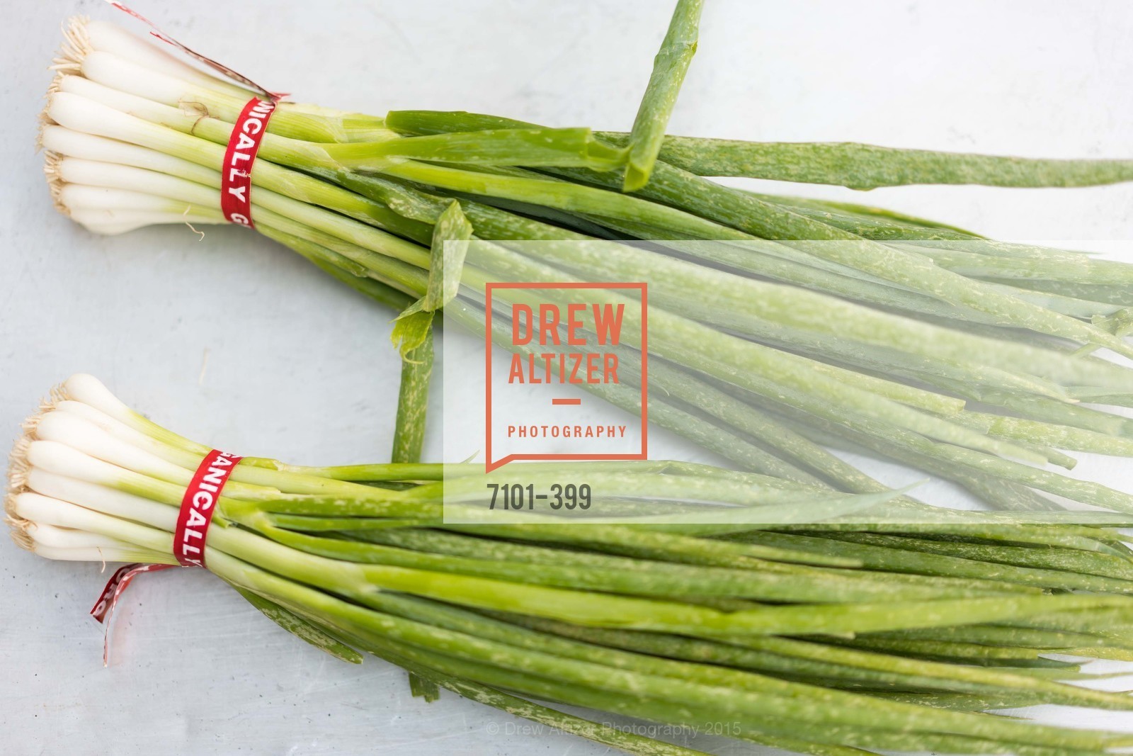 Atmosphere, CUESA's Sunday Supper: A Farm to City Feast, San Francisco Ferry Building, October 18th, 2015,Drew Altizer, Drew Altizer Photography, full-service agency, private events, San Francisco photographer, photographer california