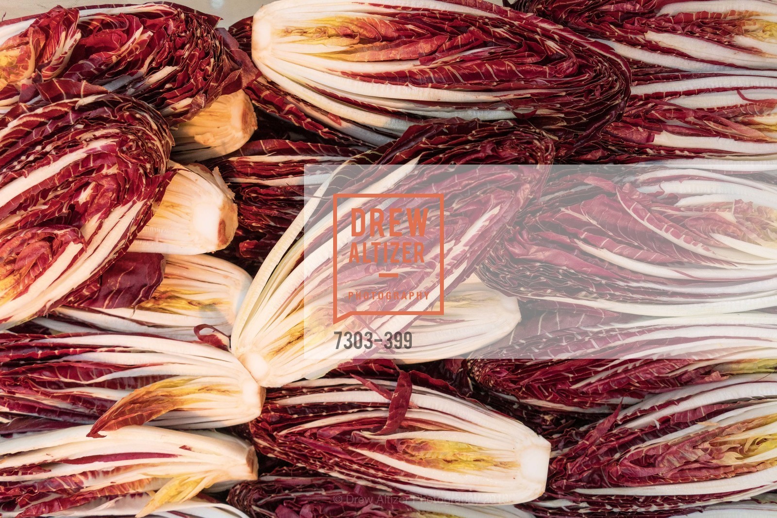 Atmosphere, CUESA's Sunday Supper: A Farm to City Feast, San Francisco Ferry Building, October 18th, 2015,Drew Altizer, Drew Altizer Photography, full-service agency, private events, San Francisco photographer, photographer california