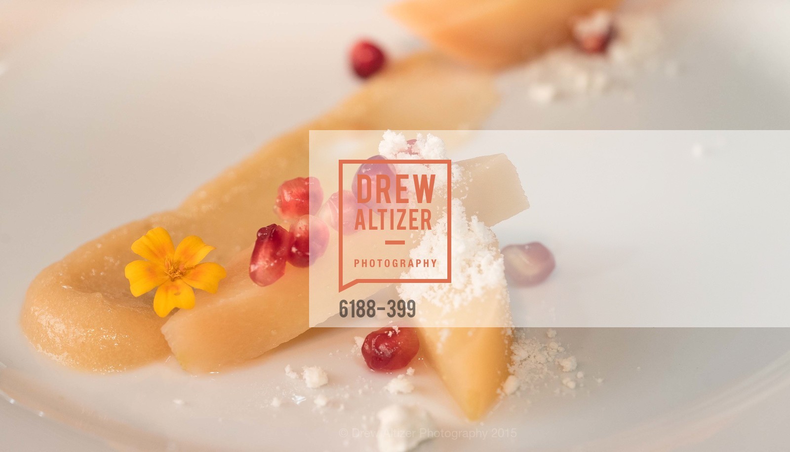 Atmosphere, CUESA's Sunday Supper: A Farm to City Feast, San Francisco Ferry Building, October 18th, 2015,Drew Altizer, Drew Altizer Photography, full-service event agency, private events, San Francisco photographer, photographer California