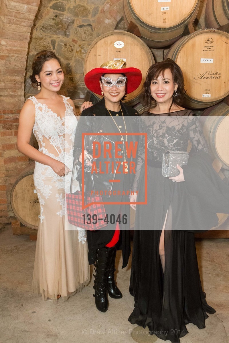 Angelina Tran, Olivia Mai, Thuy Pham, Fundraiser Gala for VIETNAMESE MUSEUM, US, December 14th, 2014, Photo #139-4046 Angelina Tran, Olivia Mai, Thuy Pham, Photo #139-4046
