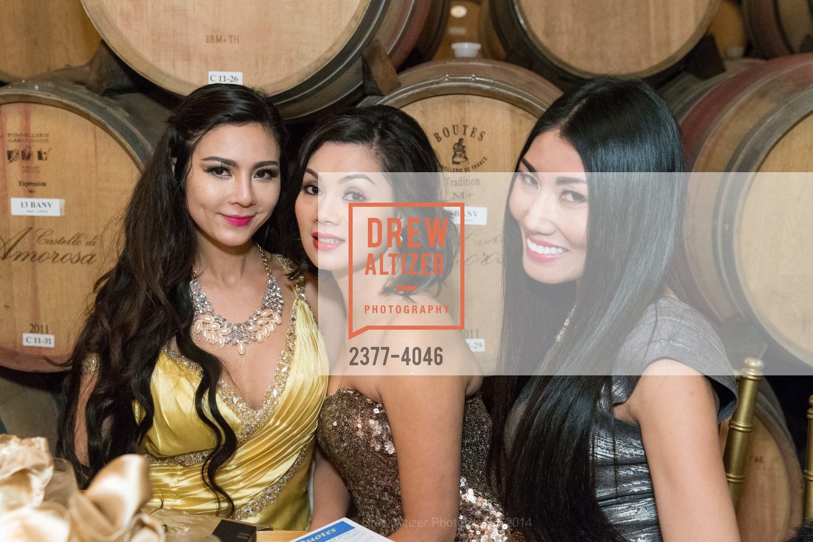 Tina Ha, Quyen Vu, Jandi Dang, Fundraiser Gala for VIETNAMESE MUSEUM, US, December 14th, 2014, Photo #2377-4046 Tina Ha, Quyen Vu, Jandi Dang, Photo #2377-4046