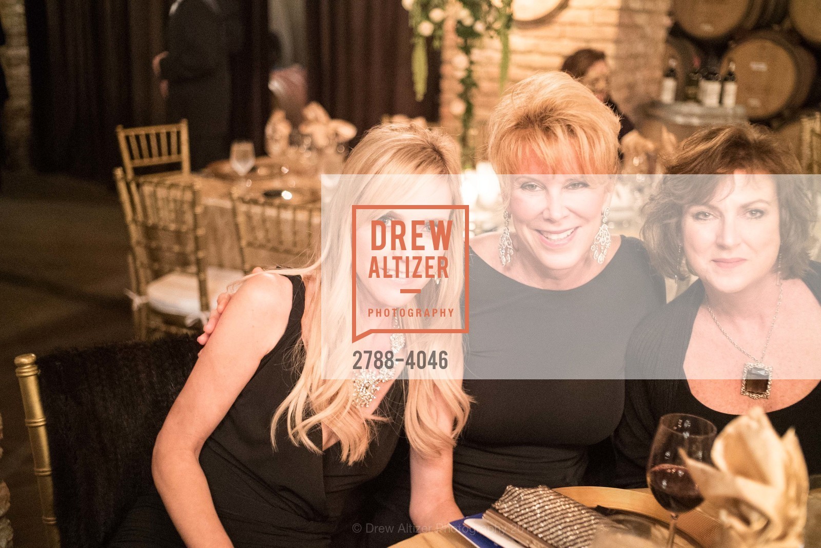 Dana Wall, Karla Carroll, Fundraiser Gala for VIETNAMESE MUSEUM, US, December 14th, 2014, Photo #2788-4046 Dana Wall, Karla Carroll, Photo #2788-4046