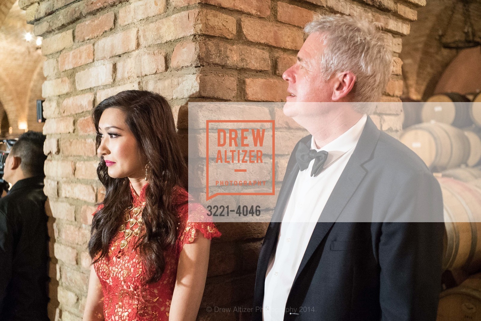 David Costello, Fundraiser Gala for VIETNAMESE MUSEUM, US, December 14th, 2014, Photo #3221-4046 David Costello, Photo #3221-4046
