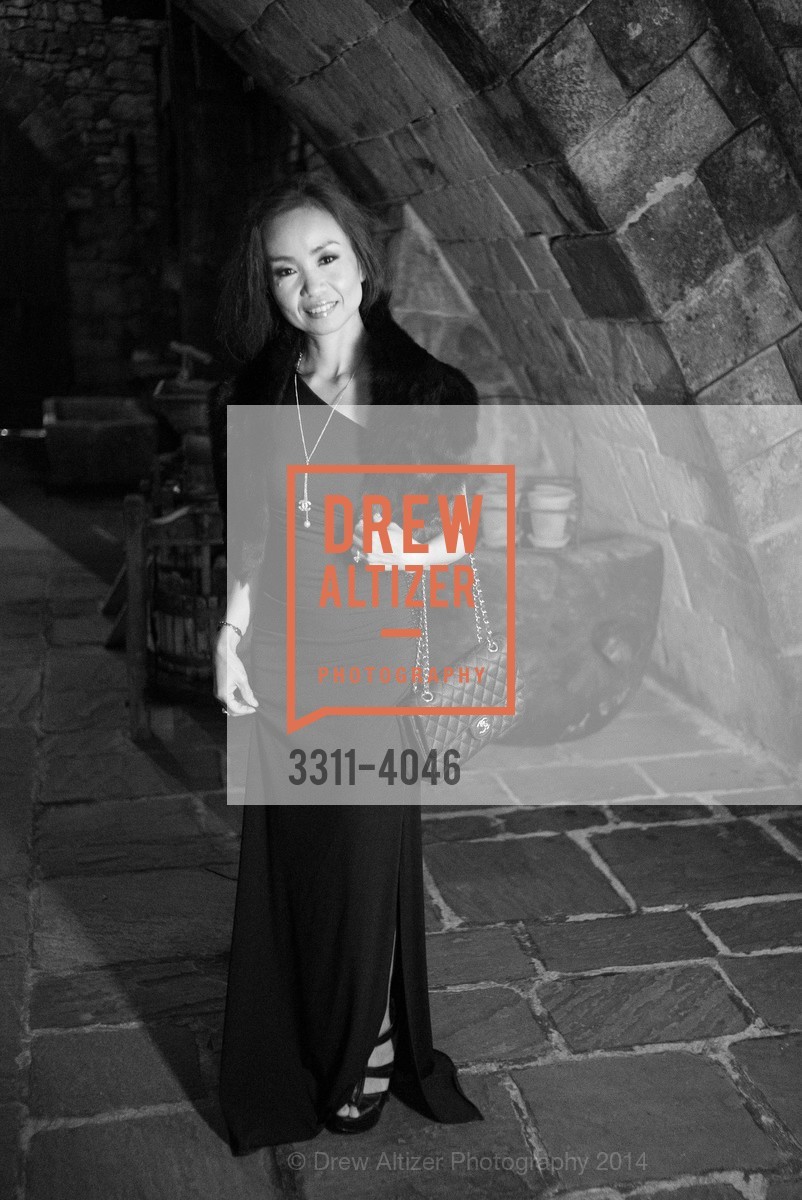 Fundraiser Gala for VIETNAMESE MUSEUM, US, December 14th, 2014, Photo #3311-4046 Photo #3311-4046