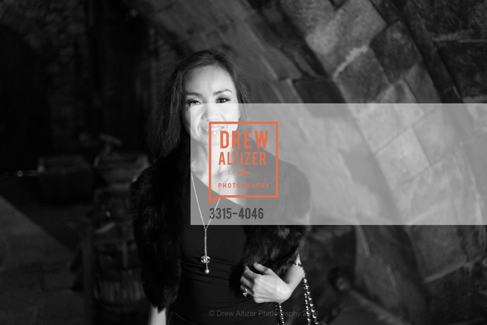 Fundraiser Gala for VIETNAMESE MUSEUM, US, December 14th, 2014, Photo #3315-4046 Photo #3315-4046