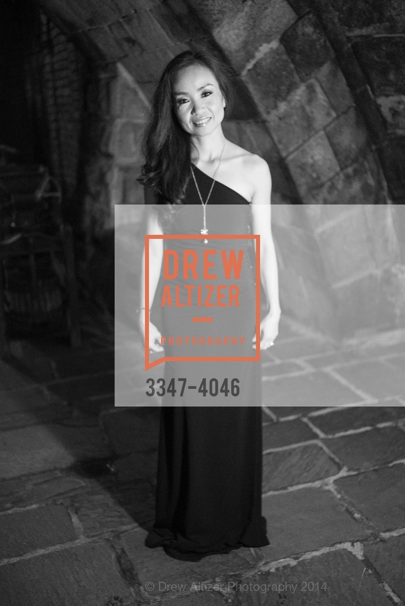 Fundraiser Gala for VIETNAMESE MUSEUM, US, December 14th, 2014, Photo #3347-4046 Photo #3347-4046
