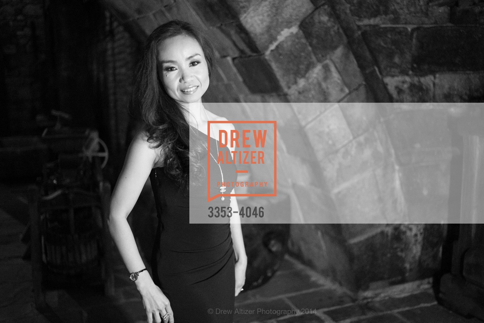 Fundraiser Gala for VIETNAMESE MUSEUM, US, December 14th, 2014, Photo #3353-4046 Photo #3353-4046