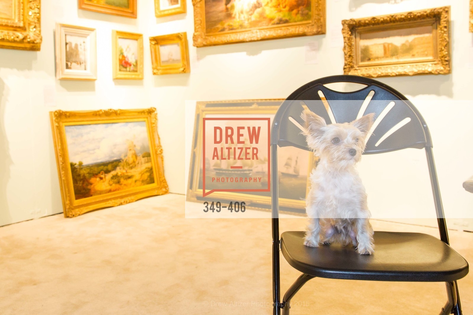 Extras, The San Francisco Fall Antiques Show, October 21st, 2015, Photo,Drew Altizer, Drew Altizer Photography, full-service agency, private events, San Francisco photographer, photographer california