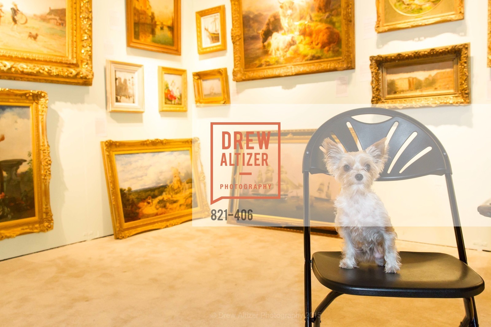 Extras, The San Francisco Fall Antiques Show, October 21st, 2015, Photo,Drew Altizer, Drew Altizer Photography, full-service agency, private events, San Francisco photographer, photographer california