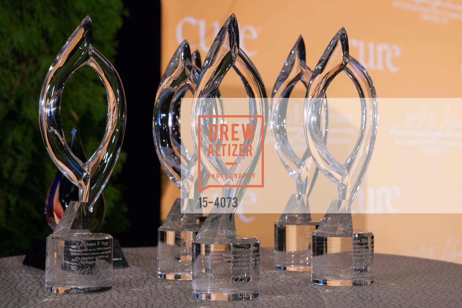 Atmosphere, CURE MAGAZINE'S MPN Heroes Awards, US, December 7th, 2014, Photo #15-4073 Atmosphere, Photo #15-4073