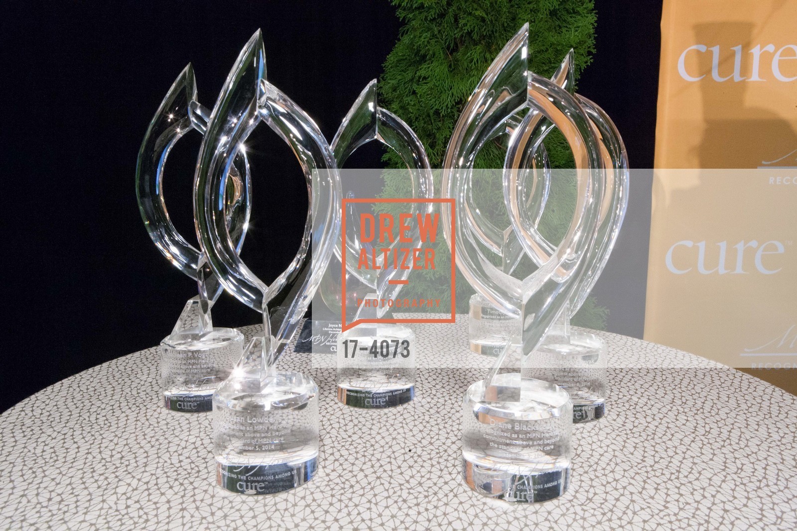 Atmosphere, CURE MAGAZINE'S MPN Heroes Awards, US, December 7th, 2014, Photo #17-4073 Atmosphere, Photo #17-4073