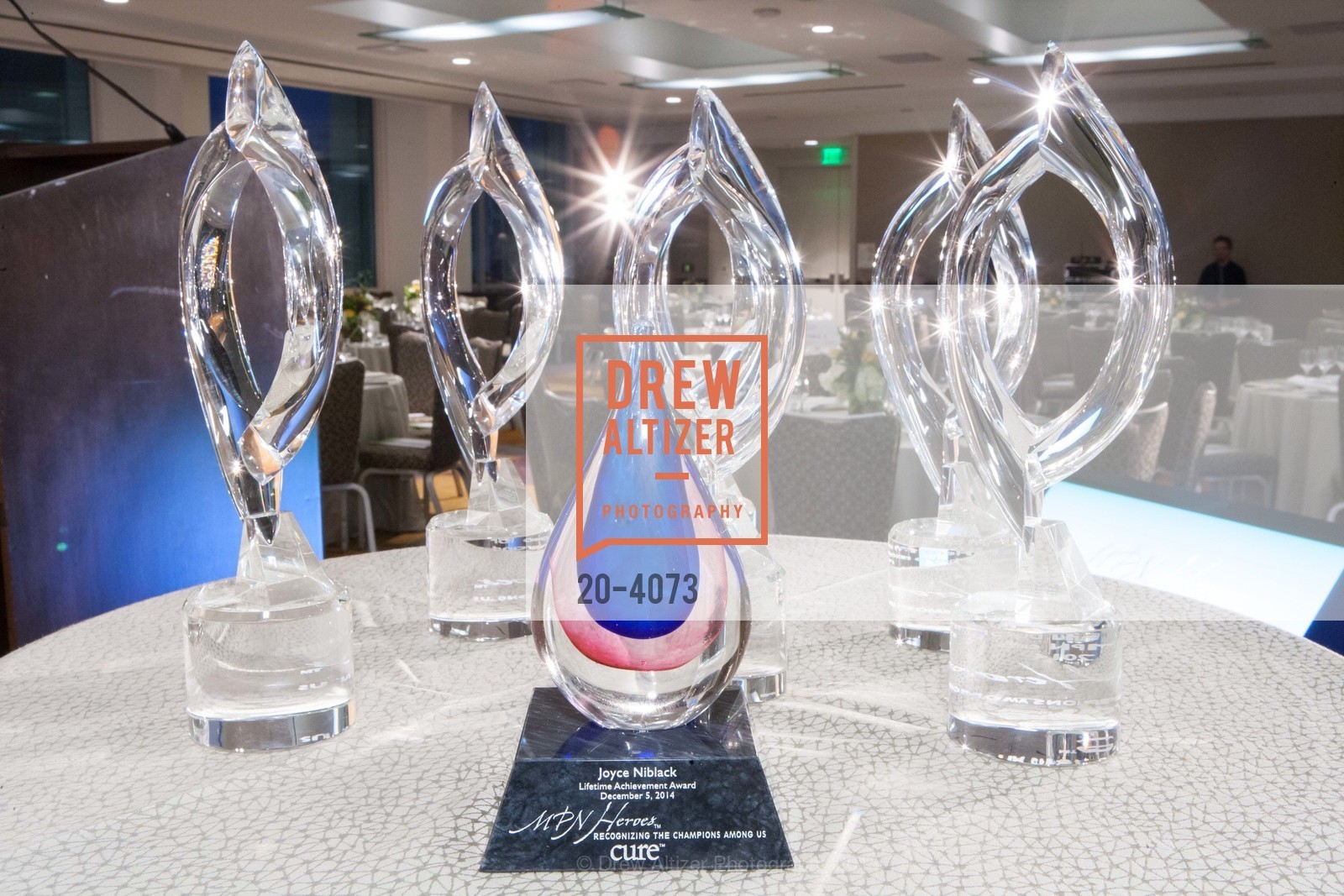 Atmosphere, CURE MAGAZINE'S MPN Heroes Awards, US, December 7th, 2014, Photo #20-4073 Atmosphere, Photo #20-4073