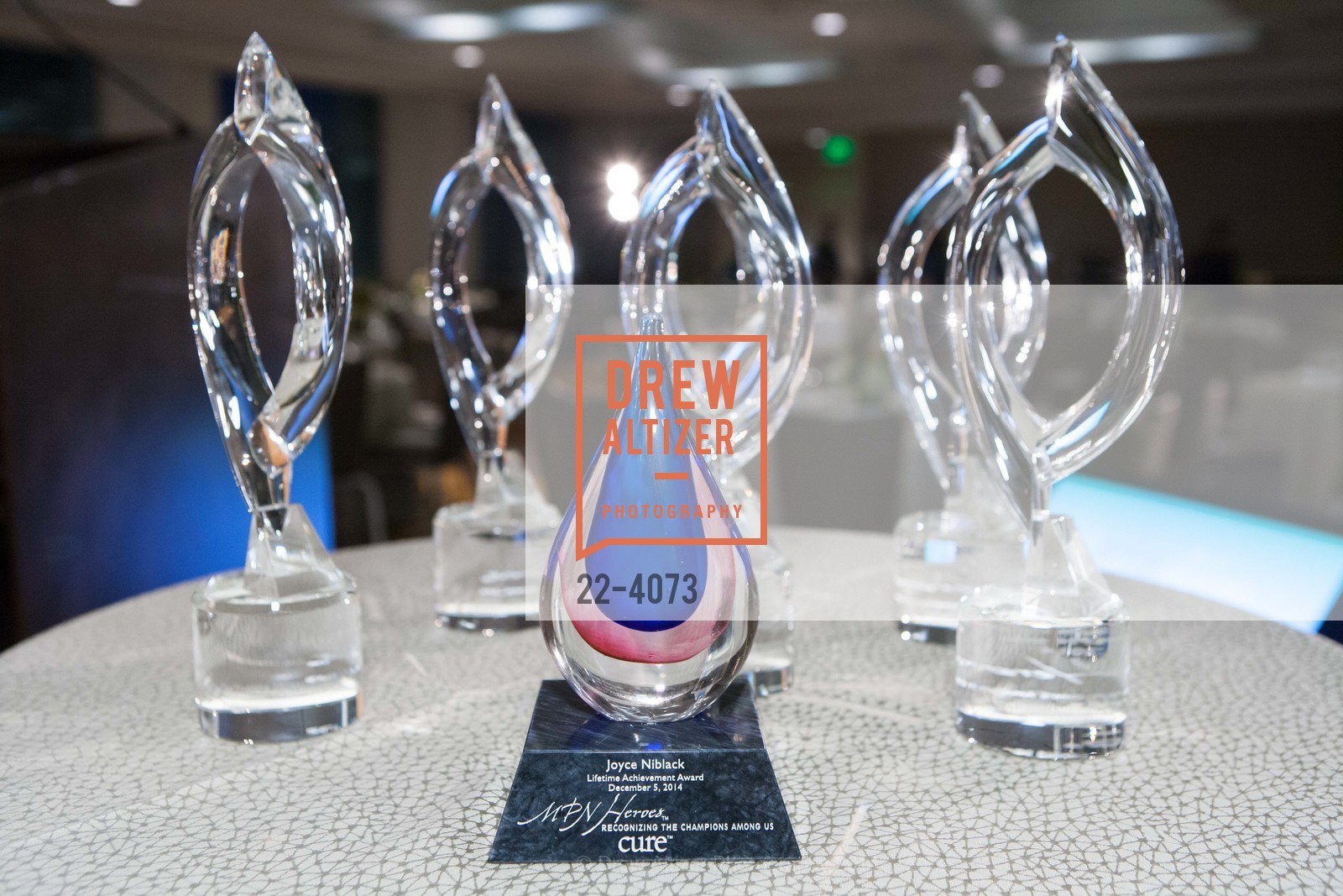Atmosphere, CURE MAGAZINE'S MPN Heroes Awards, US, December 7th, 2014, Photo #22-4073 Atmosphere, Photo #22-4073