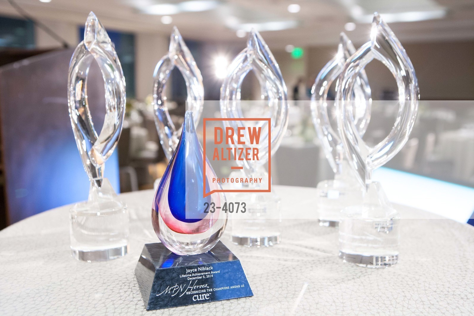 Atmosphere, CURE MAGAZINE'S MPN Heroes Awards, US, December 7th, 2014, Photo #23-4073 Atmosphere, Photo #23-4073