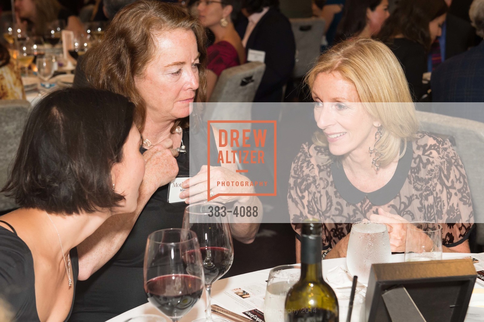 Terry Gamble, Mother Jones Annual Dinner, US, October 31st, 2014, Photo #383-4088 Terry Gamble, Photo #383-4088