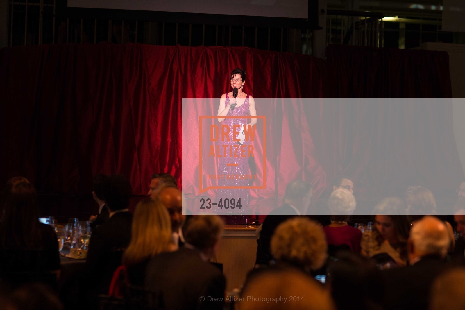 Celia Fushille, SMUIN BALLET's 20th Anniversary 2014 XXravaganza Gala, US, March 1st, 2014, Photo #23-4094 Celia Fushille, Photo #23-4094