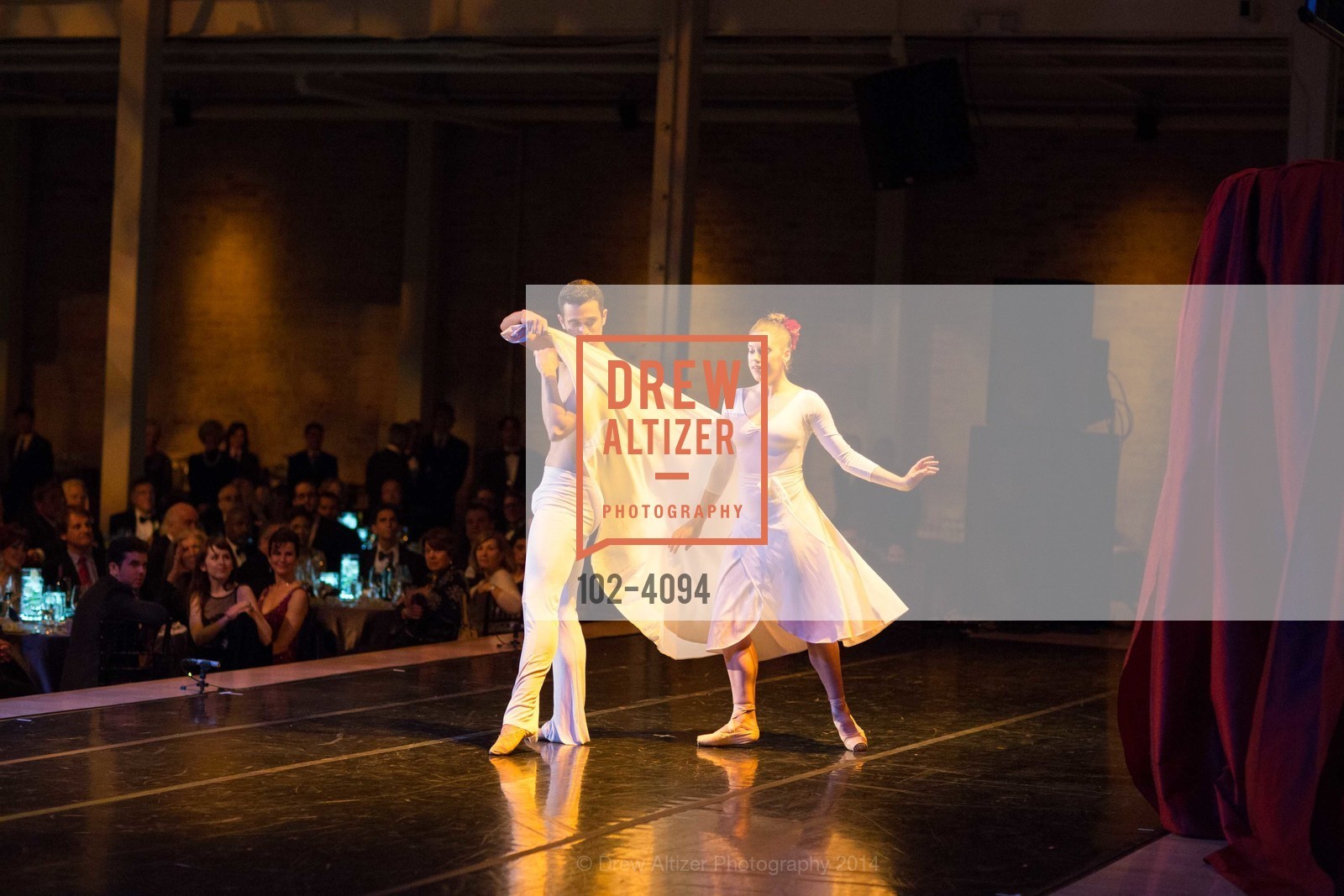 Performance, SMUIN BALLET's 20th Anniversary 2014 XXravaganza Gala, US, March 1st, 2014, Photo #102-4094 Performance, Photo #102-4094