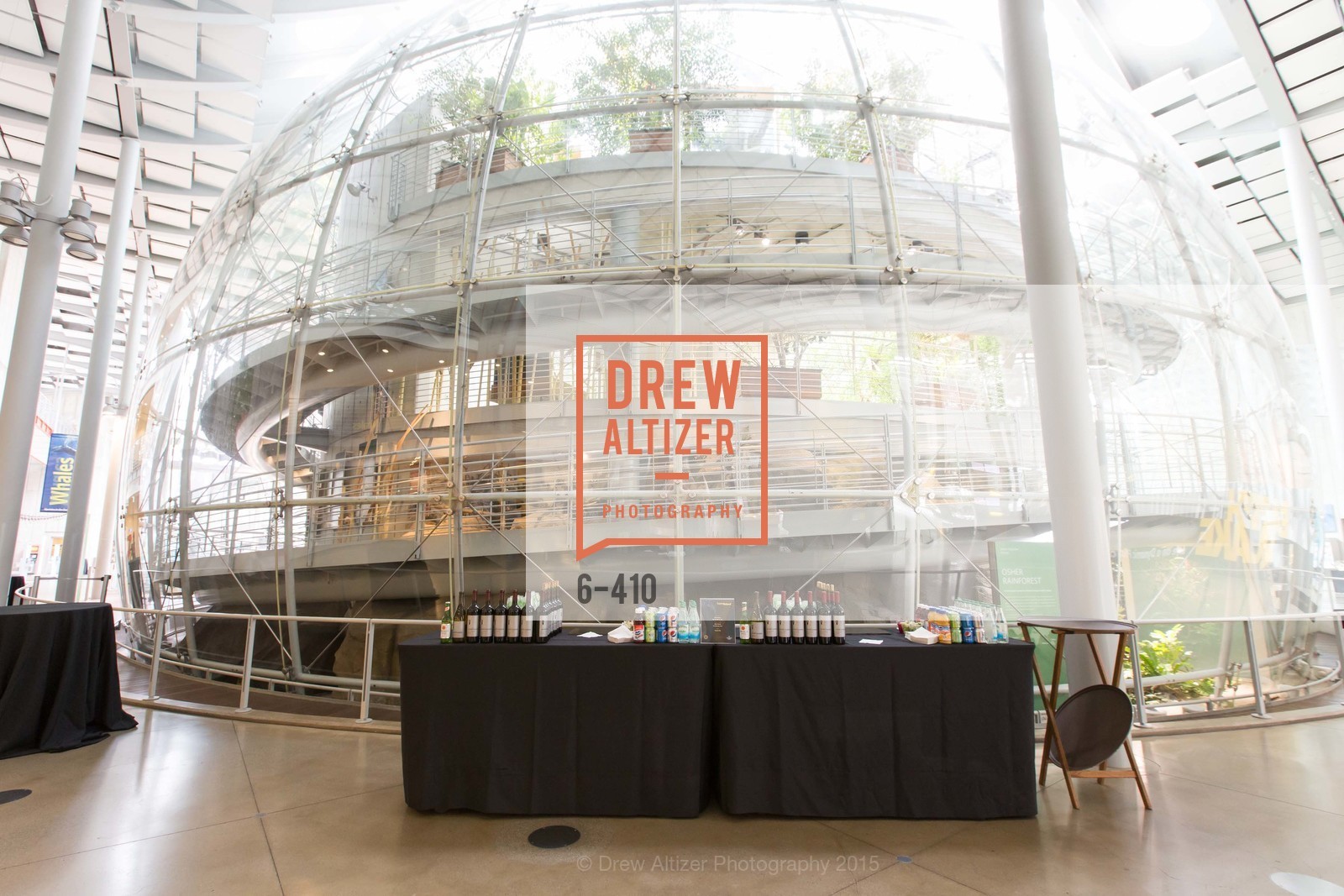 Atmosphere, California Academy of Sciences Presents SuperNatural Halloween 2015, California Academy of Science. 55 Music Concourse Dr, October 23rd, 2015,Drew Altizer, Drew Altizer Photography, full-service agency, private events, San Francisco photographer, photographer california