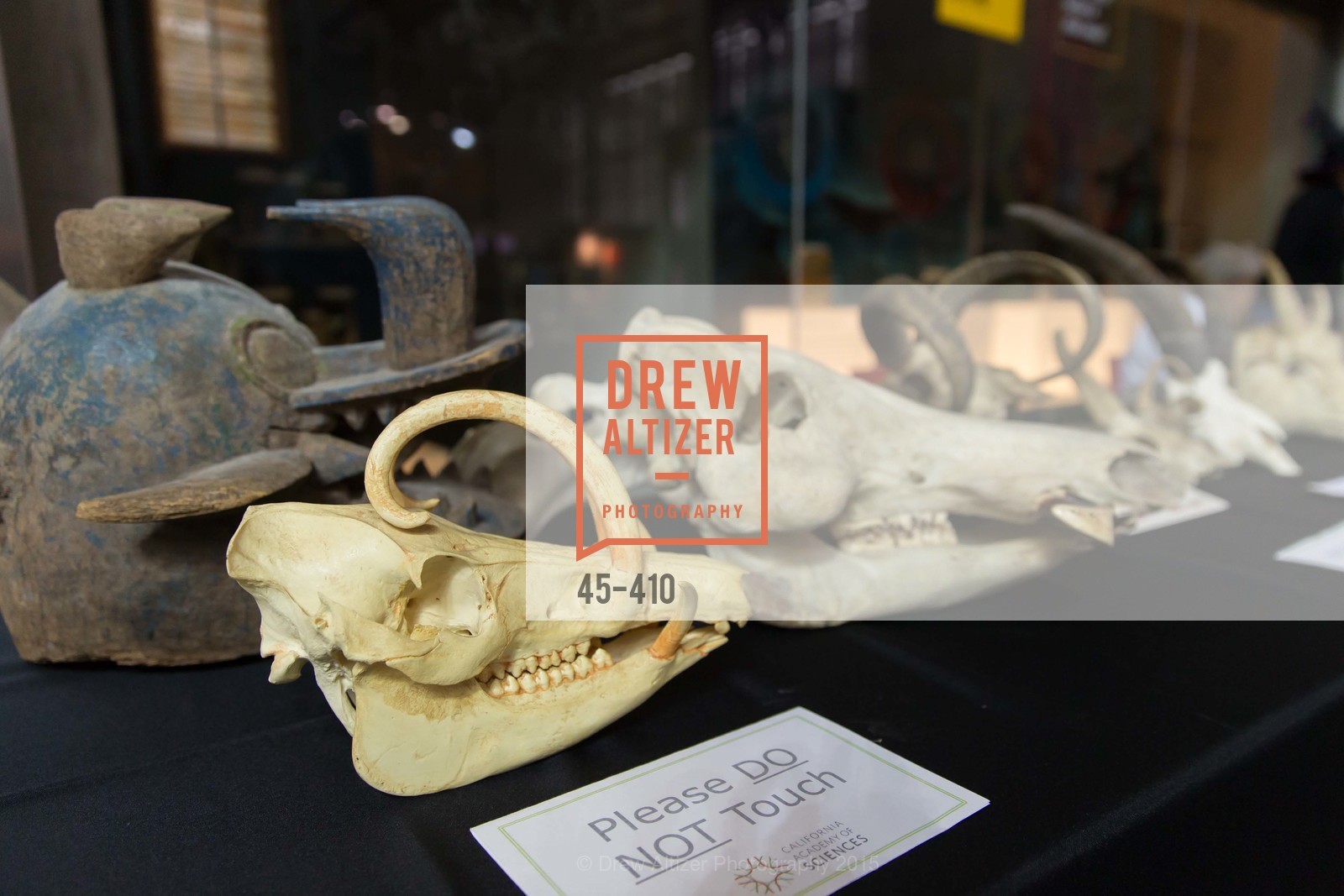 Atmosphere, California Academy of Sciences Presents SuperNatural Halloween 2015, California Academy of Science. 55 Music Concourse Dr, October 23rd, 2015,Drew Altizer, Drew Altizer Photography, full-service agency, private events, San Francisco photographer, photographer california