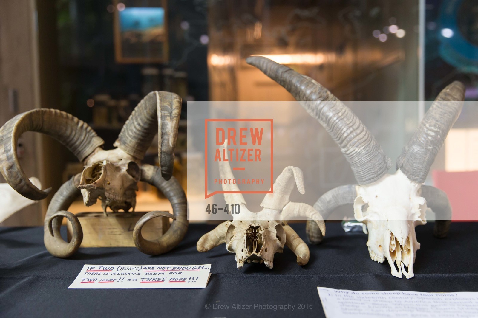 Atmosphere, California Academy of Sciences Presents SuperNatural Halloween 2015, California Academy of Science. 55 Music Concourse Dr, October 23rd, 2015,Drew Altizer, Drew Altizer Photography, full-service agency, private events, San Francisco photographer, photographer california