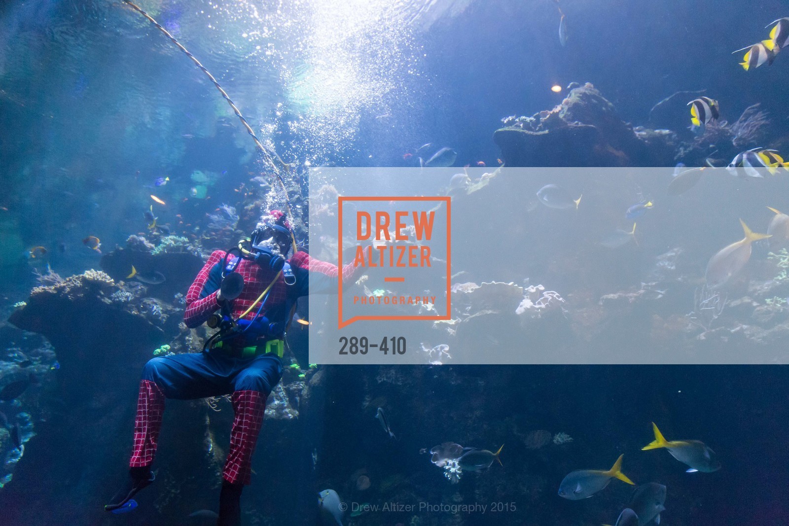 Performance, California Academy of Sciences Presents SuperNatural Halloween 2015, California Academy of Science. 55 Music Concourse Dr, October 23rd, 2015,Drew Altizer, Drew Altizer Photography, full-service event agency, private events, San Francisco photographer, photographer California