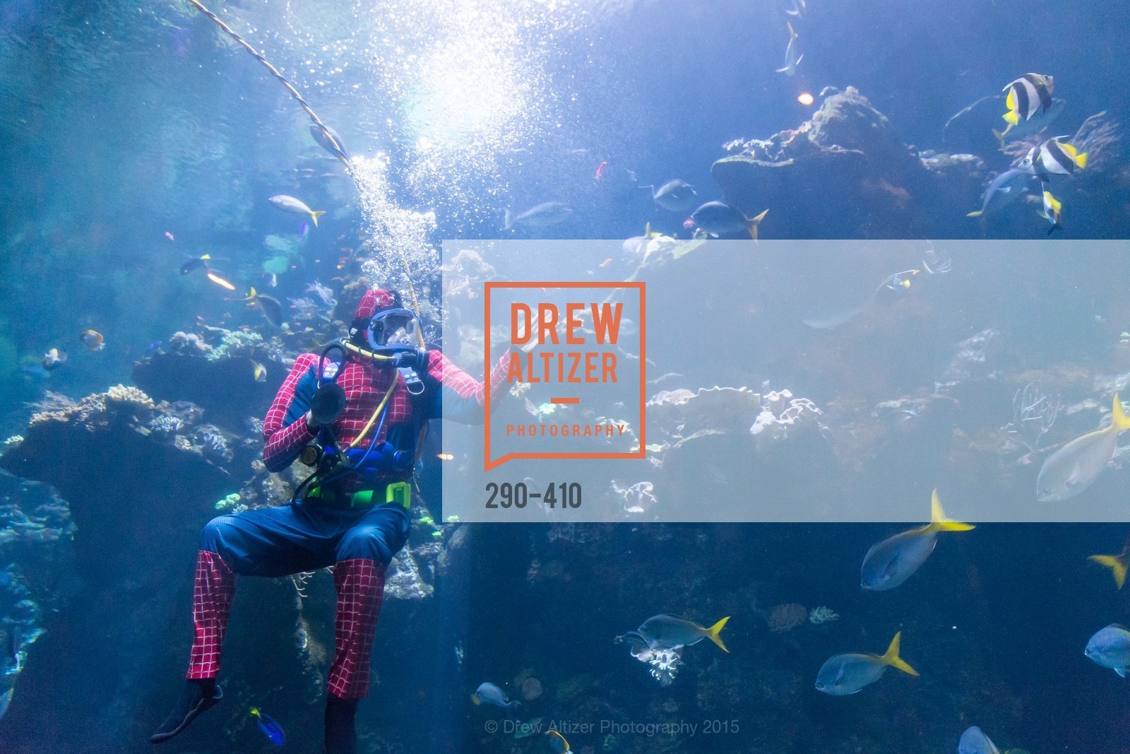 Performance, California Academy of Sciences Presents SuperNatural Halloween 2015, California Academy of Science. 55 Music Concourse Dr, October 23rd, 2015,Drew Altizer, Drew Altizer Photography, full-service agency, private events, San Francisco photographer, photographer california