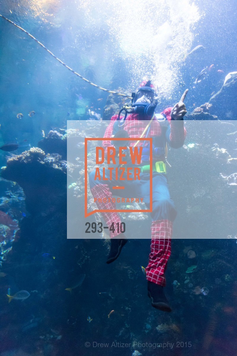 Performance, California Academy of Sciences Presents SuperNatural Halloween 2015, California Academy of Science. 55 Music Concourse Dr, October 23rd, 2015