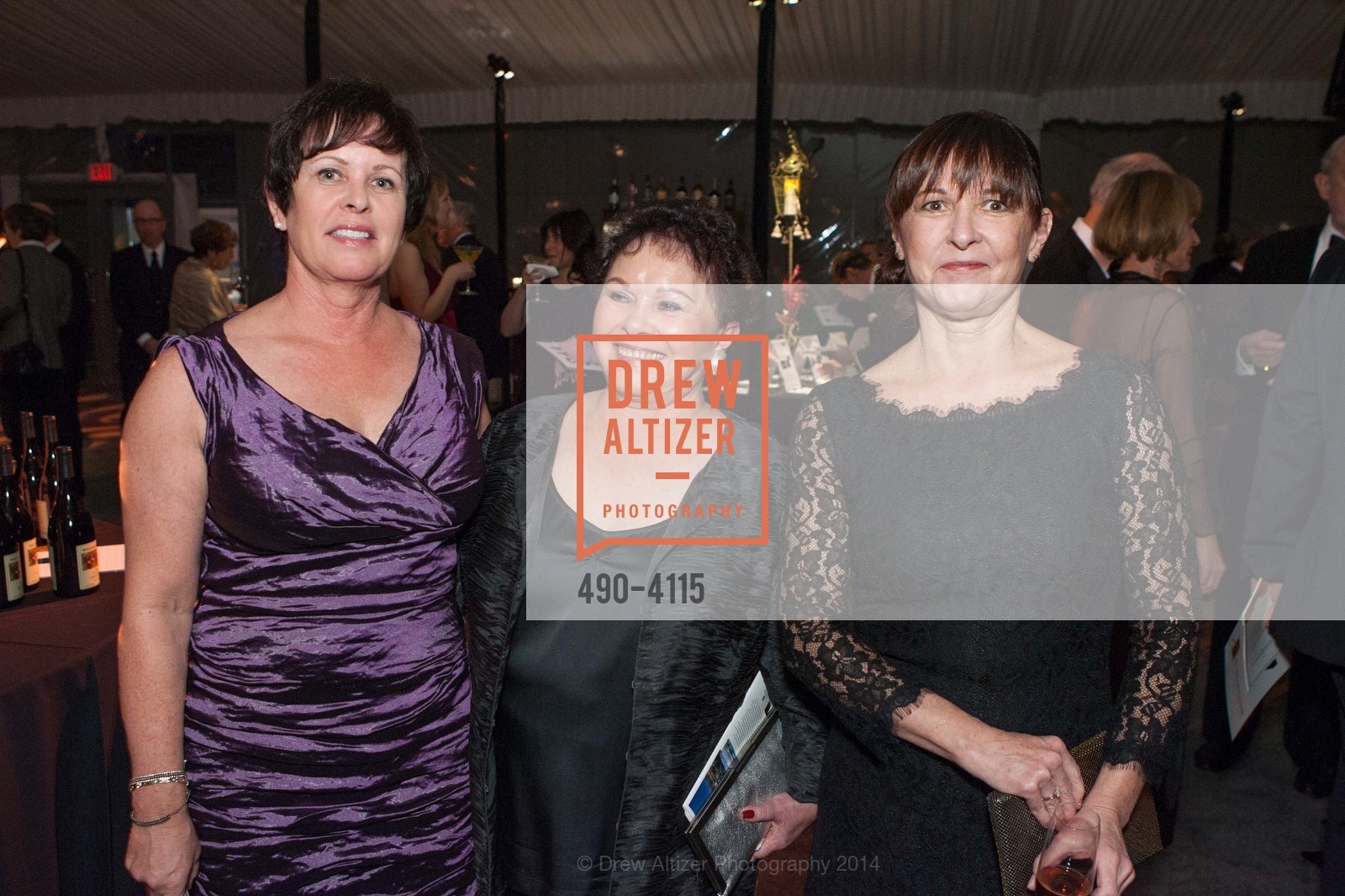 Carrie Williams, Donna Williams, Cami Forhan, PHILHARMONIA BAROQUE ORCHESTRA 2014 Gala & Auction, US, February 28th, 2014, Photo #490-4115 Carrie Williams, Donna Williams, Cami Forhan, Photo #490-4115