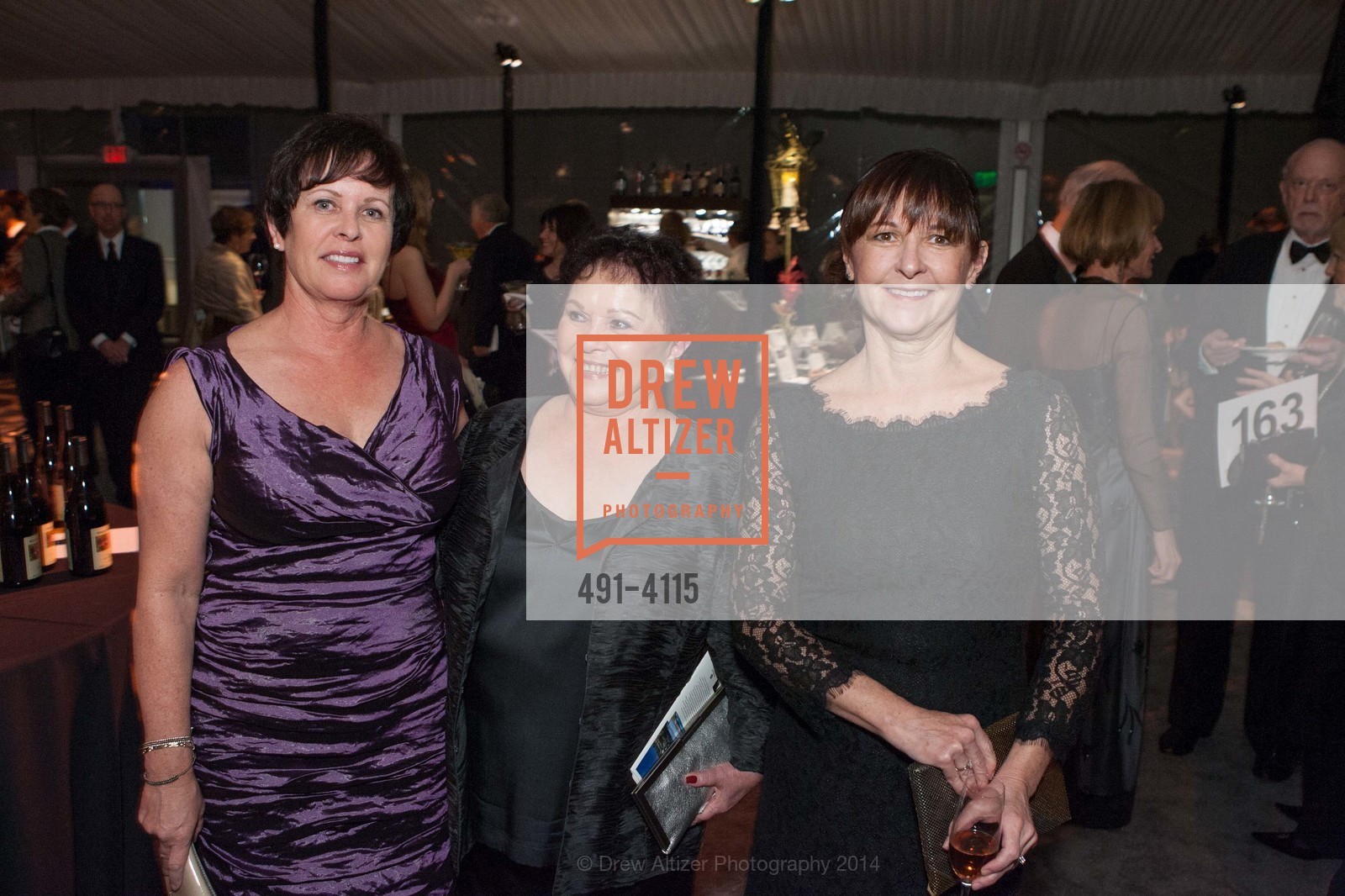 Carrie Williams, Donna Williams, Cami Forhan, PHILHARMONIA BAROQUE ORCHESTRA 2014 Gala & Auction, US, February 28th, 2014, Photo #491-4115 Carrie Williams, Donna Williams, Cami Forhan, Photo #491-4115