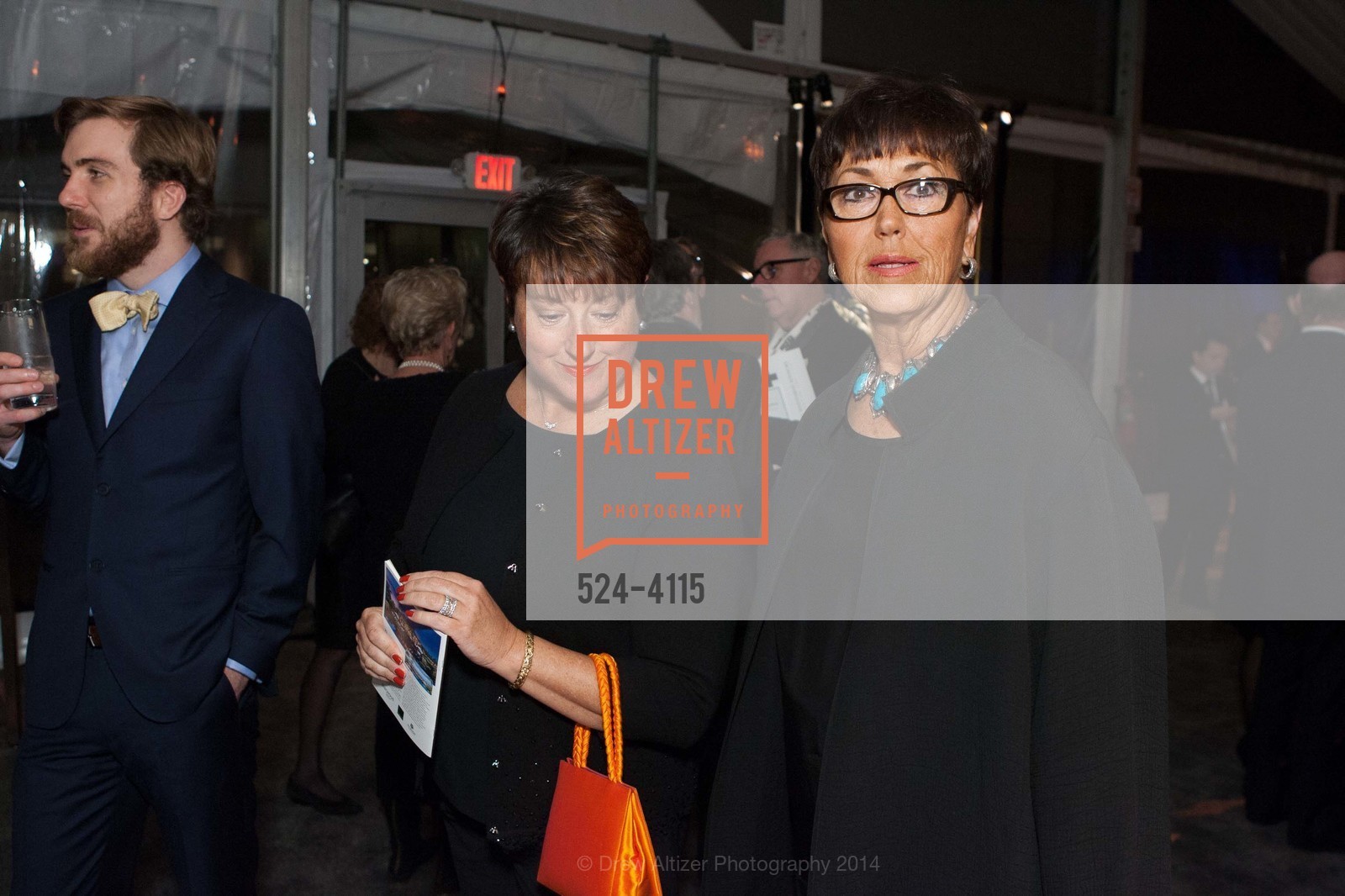 Melanie Wallace, Barbara Trainer, PHILHARMONIA BAROQUE ORCHESTRA 2014 Gala & Auction, US, February 28th, 2014, Photo #524-4115 Melanie Wallace, Barbara Trainer, Photo #524-4115