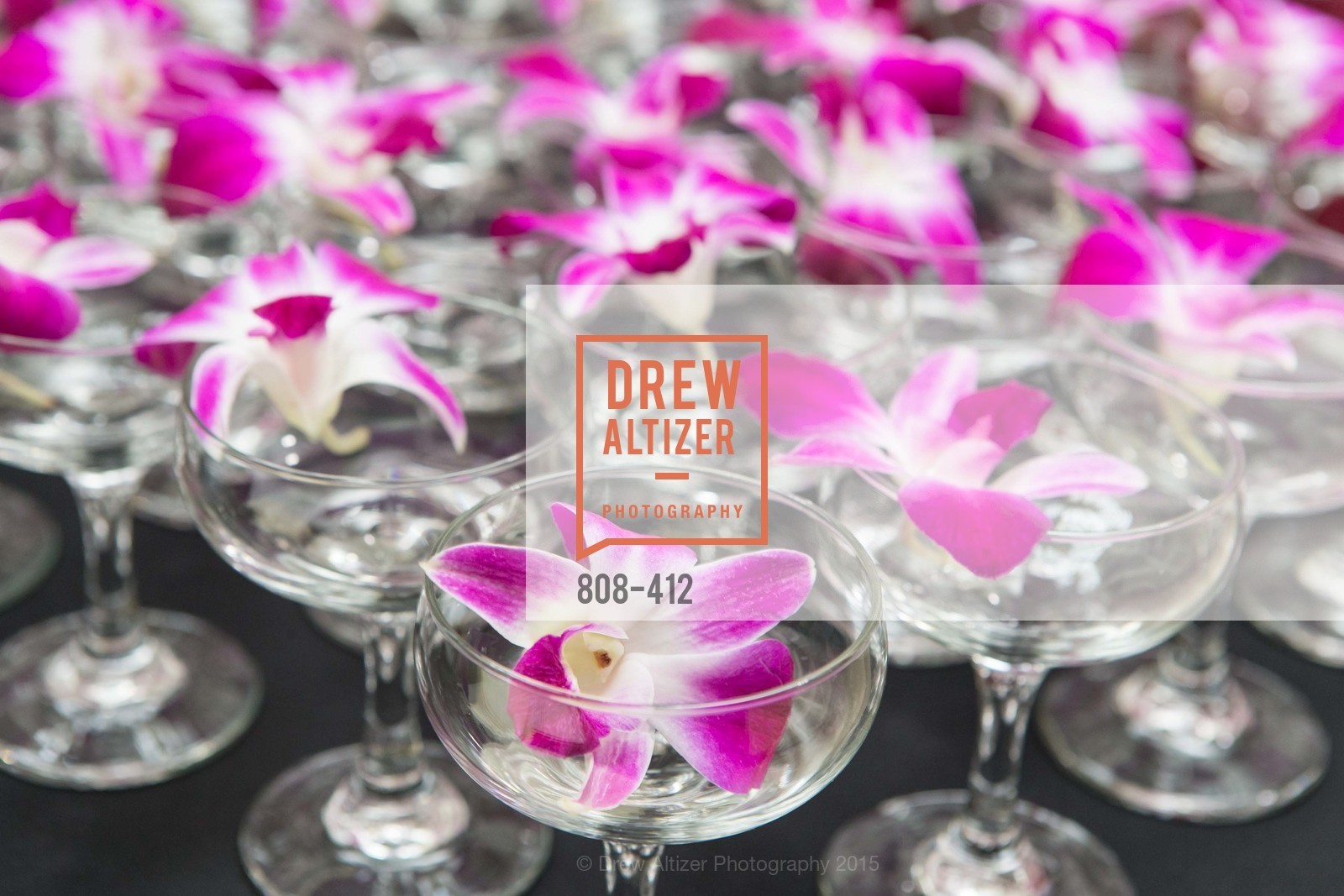 Atmosphere, Girls Inc's of Alameda WOMEN OF TASTE, Rotunda. 00 Frank Ogawa Plaza, October 24th, 2015,Drew Altizer, Drew Altizer Photography, full-service event agency, private events, San Francisco photographer, photographer California