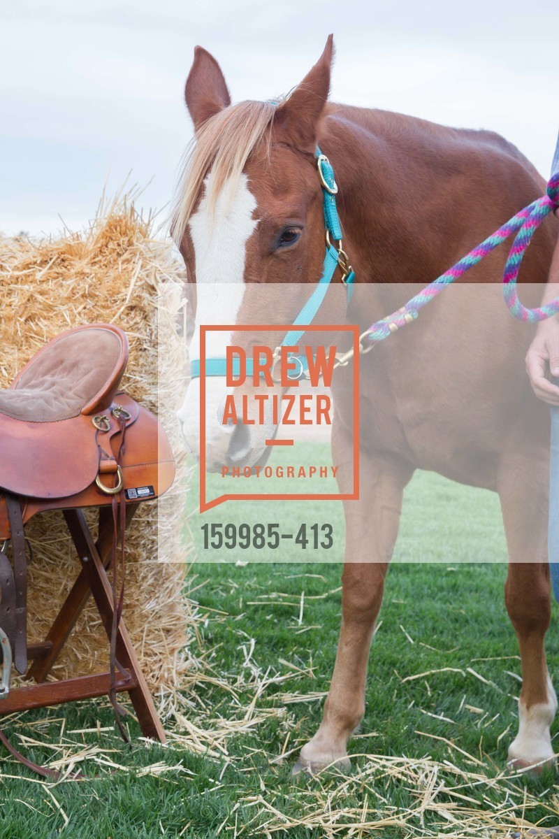 Atmosphere, A Harvest Barn Dance at Cornerstone Presented By Giant Steps Therapeutic Equestrian Center, Cornerstone Sonoma. 23570 Arnold Dr, October 24th, 2015,Drew Altizer, Drew Altizer Photography, full-service agency, private events, San Francisco photographer, photographer california