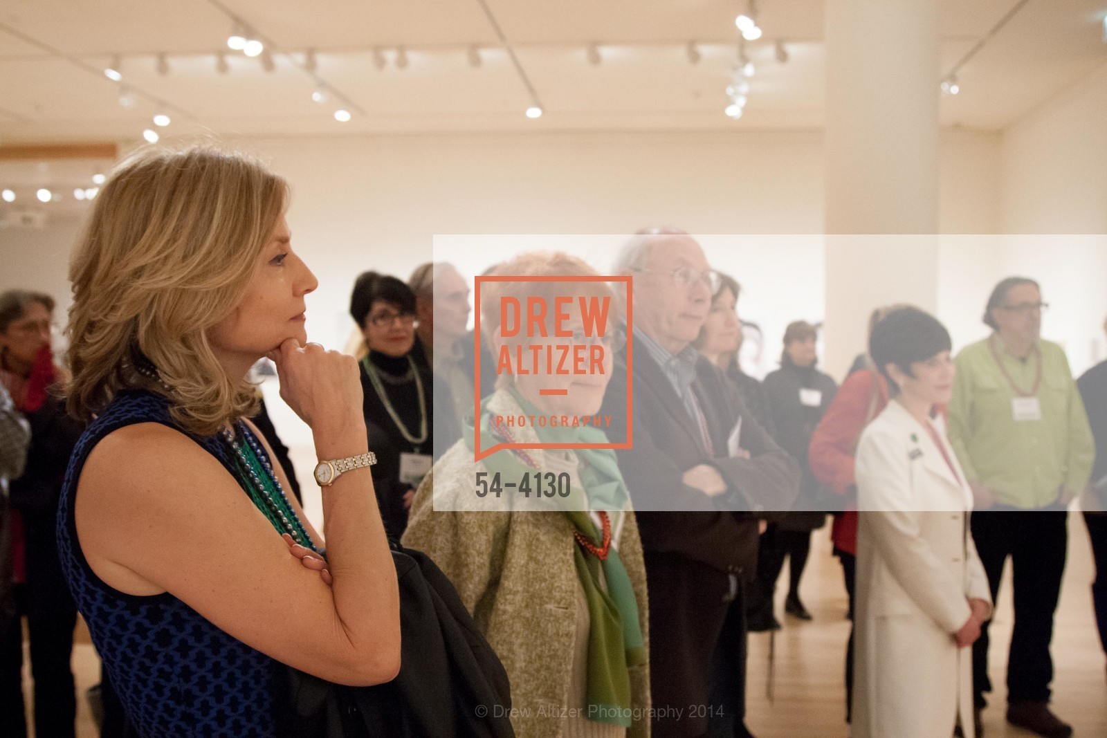 Eileen Silver, SAN JOSE MUSEUM OF ART'S Spring IPO Art Opening, US, March 4th, 2014, Photo #54-4130 Eileen Silver, Photo #54-4130