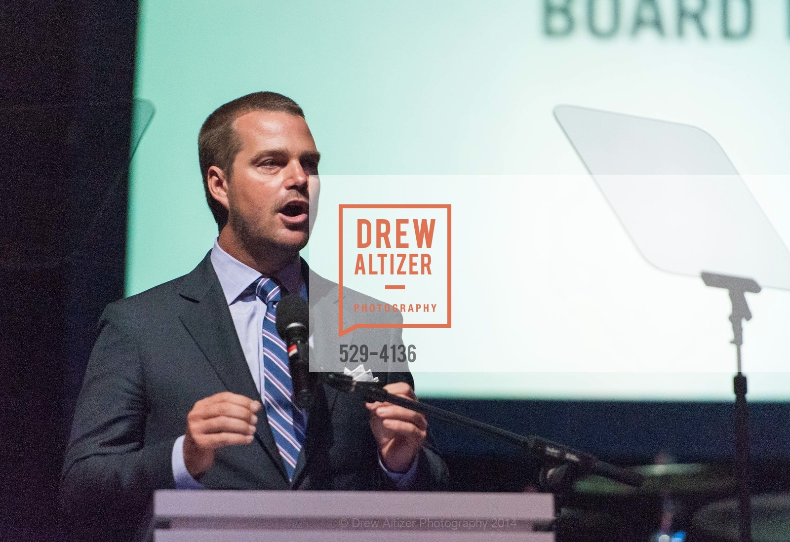 Chris O'Donnell, REDF 2014 Benefit Old, US, September 18th, 2014, Photo #529-4136 Chris O'Donnell, Photo #529-4136