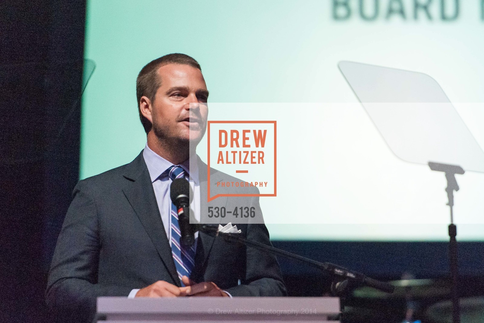 Chris O'Donnell, REDF 2014 Benefit Old, US, September 18th, 2014, Photo #530-4136 Chris O'Donnell, Photo #530-4136