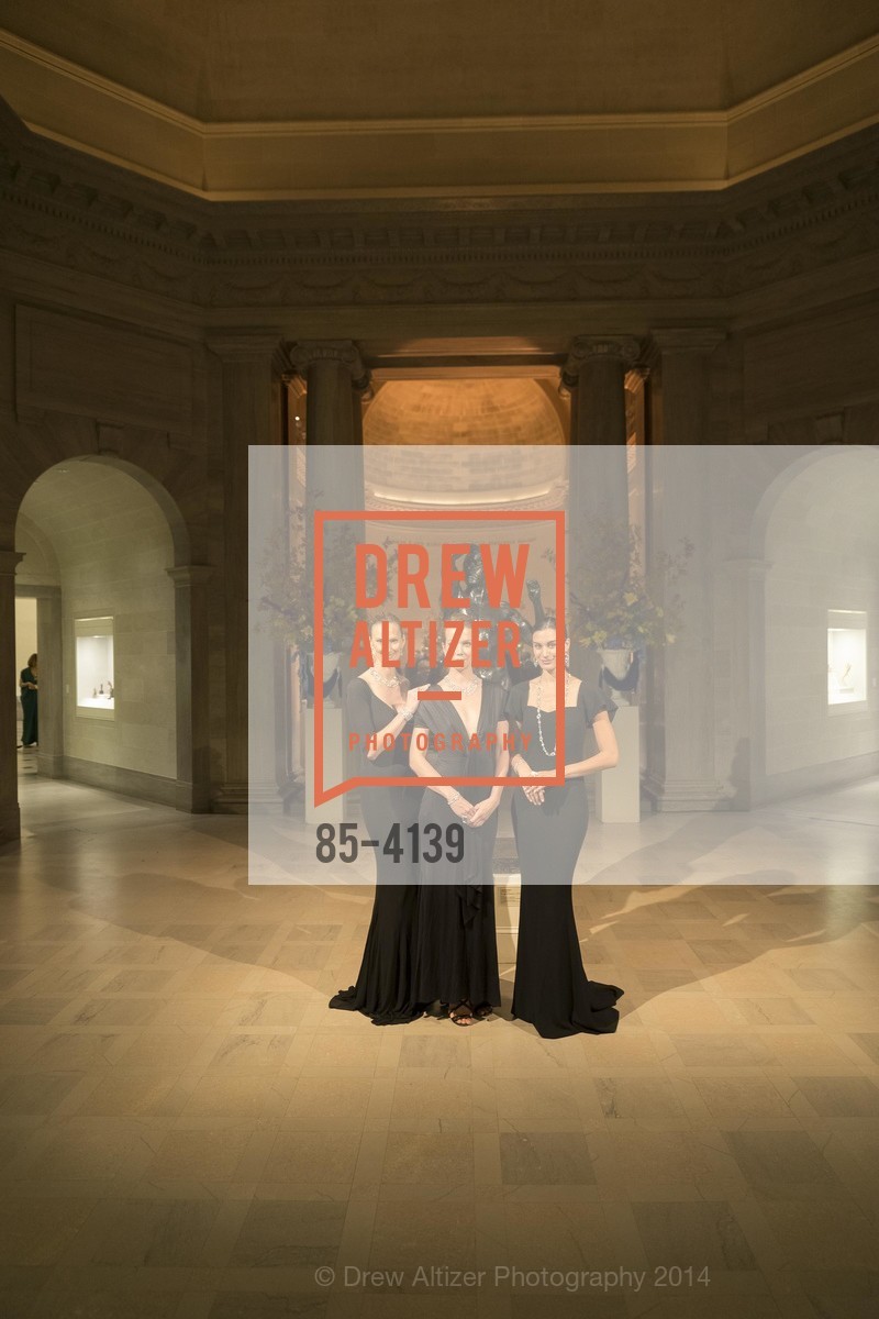 Models, LEGION OF HONOR Hosts HOUGHTON HALL Black-Tie Dinner, US, October 15th, 2014, Photo #85-4139 Models, Photo #85-4139