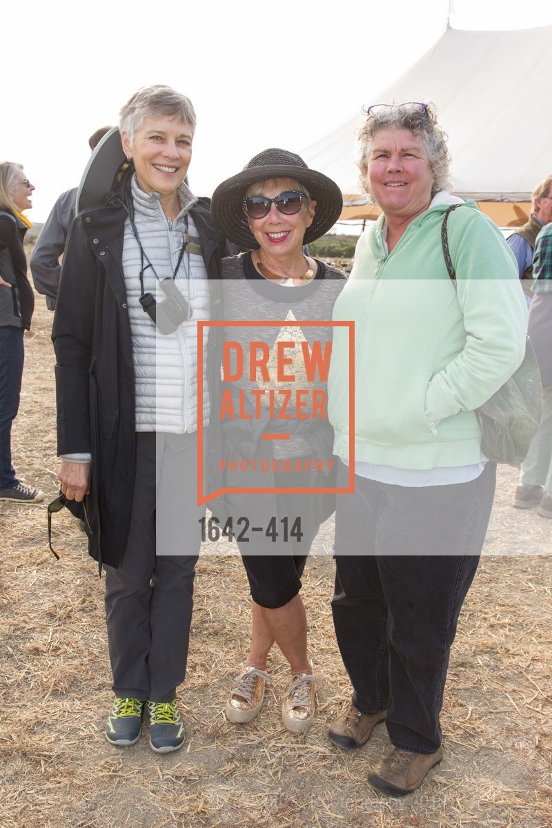 Maggie Salenger, Karen Collins, Patricia Collinan, SEA CHANGE at Sears Point with Sonoma Land Trust, Sears Point. Hwy 37 and Lakeville Hwy, October 25th, 2015,Drew Altizer, Drew Altizer Photography, full-service agency, private events, San Francisco photographer, photographer california
