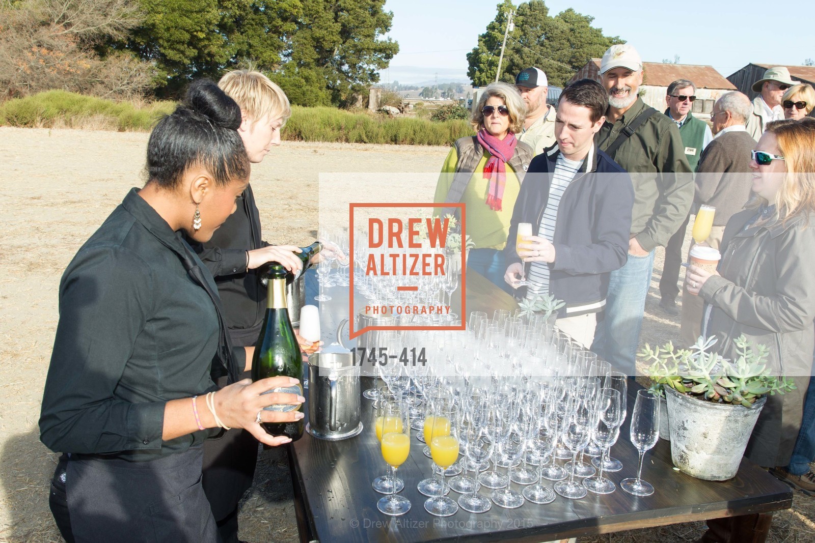 Atmosphere, SEA CHANGE at Sears Point with Sonoma Land Trust, Sears Point. Hwy 37 and Lakeville Hwy, October 25th, 2015,Drew Altizer, Drew Altizer Photography, full-service event agency, private events, San Francisco photographer, photographer California